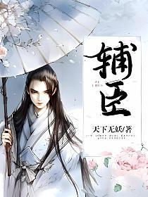 辅臣的封面