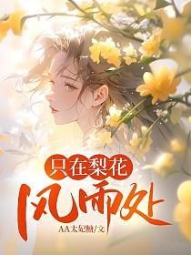 只在梨花风雨处的封面
