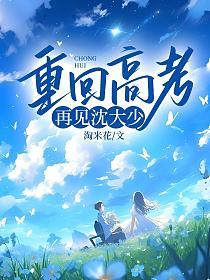 重回高考，再见沈大少的封面