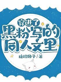 穿进了黑粉写的同人文里的封面