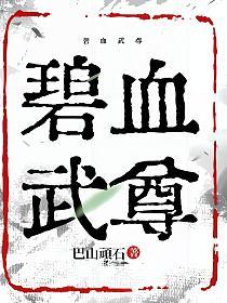 碧血武尊的封面