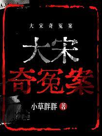 大宋奇冤案的封面