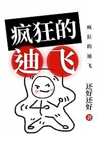 疯狂的迪飞的封面