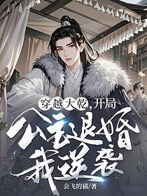 穿越大乾，开局公主退婚我逆袭！的封面