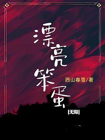 漂亮笨蛋【无限】的封面