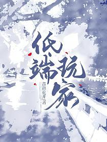 低端玩家的封面