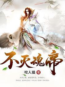 不灭魂帝的封面