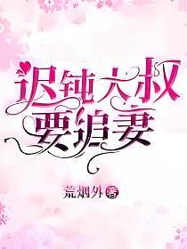 迟钝大叔要追妻的封面