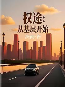 权途：从基层开始的封面