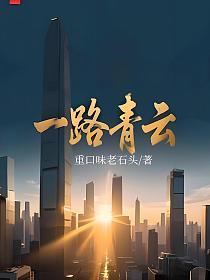 一路青云的封面