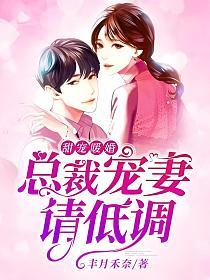 甜宠暖婚：总裁宠妻请低调的封面