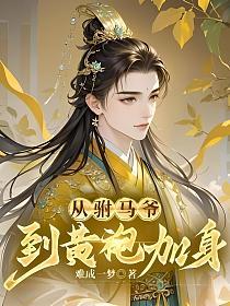 从驸马爷到黄袍加身的封面