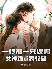一秒加一只烧鸡，女神跪求我收留的封面