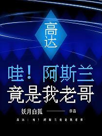 高达：哇！阿斯兰竟是我老哥的封面