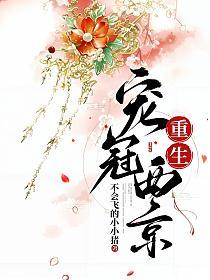 重生宠冠西京的封面