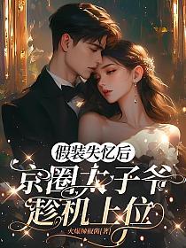 假装失忆后，京圈太子爷趁机上位的封面