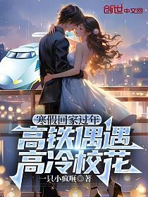 寒假回家过年，高铁偶遇高冷校花的封面