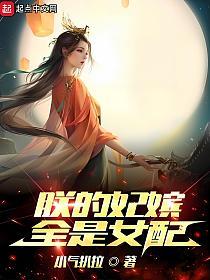 朕的妃嫔全是女配的封面