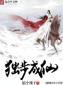 独步成仙的封面