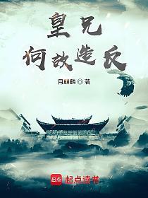 皇兄何故造反？的封面