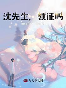 沈先生，领证吗？的封面