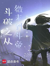 斗破之从微末到斗帝的封面