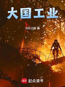 大国工业的封面