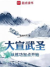 大宣武圣的封面