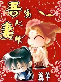 吾妻天下第一的封面