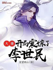 大唐开局震惊了李世民的封面