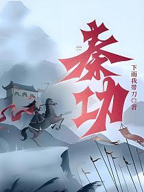 秦功的封面