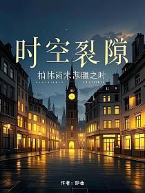 时空裂隙：柏林尚未苏醒之时的封面