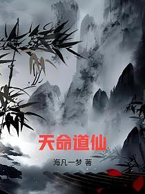 天命道仙的封面