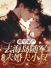 搬空家产去海岛随军，错嫁未婚夫小叔的封面