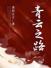 官场：青云之路的封面