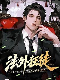 法外狂徒,没有我送不进去的人!的封面