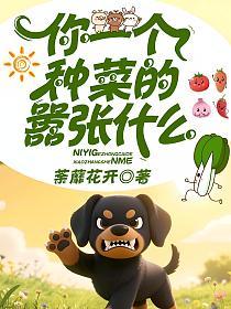 你一个种菜的嚣张什么的封面