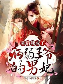 死后我成了病弱王爷的男妃的封面