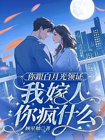 你跟白月光领证,我嫁人你疯什么的封面