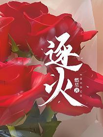 逐火的封面