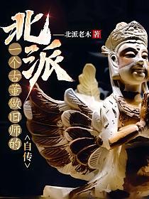 北派：一个古董做旧师的自传的封面