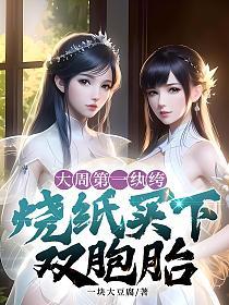 大周第一纨绔，烧纸买下双胞胎的封面
