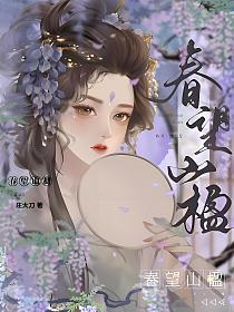 春望山楹的封面