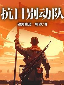 抗日别动队的封面
