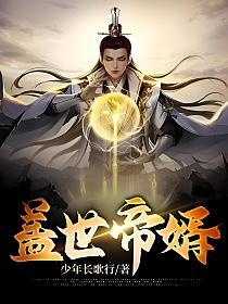 盖世帝婿的封面