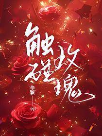 触碰玫瑰的封面