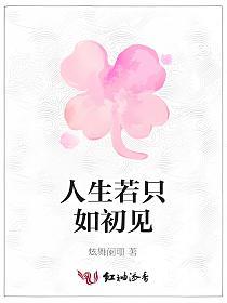 人生若只如初见的封面