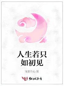 人生若只如初见的封面