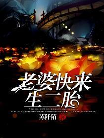 老婆快来生二胎的封面