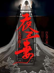 夜王妻：夫君在上的封面